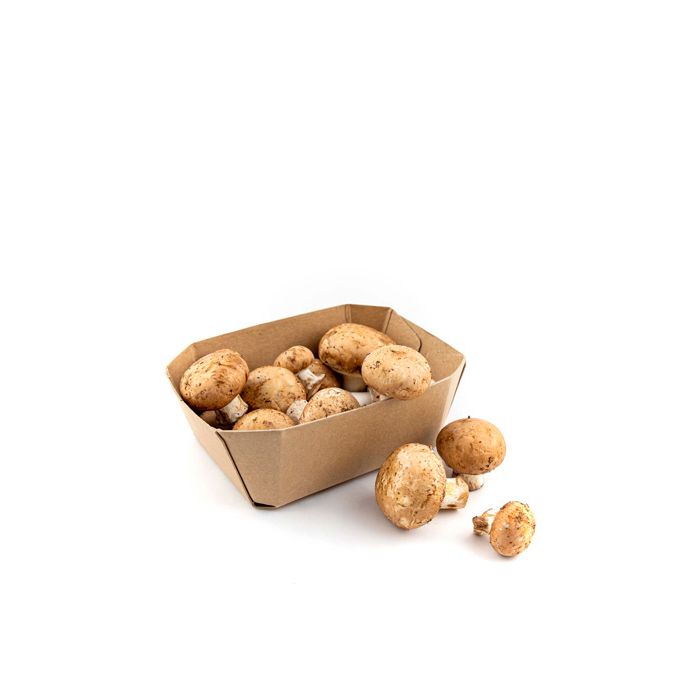 Champiñon Portobello 250g ECO main product photo