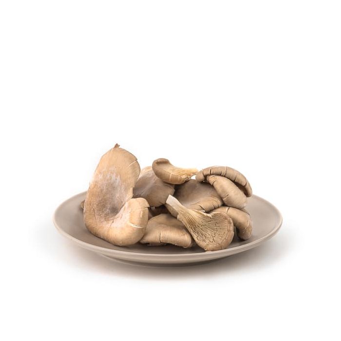 Girgola bandeja 200gr ECO main product photo