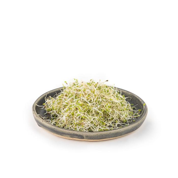 Alfalfa rúcula Germ Veritas 50gr ECO main product photo