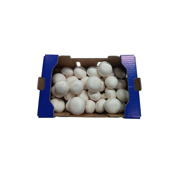 Champiñón blanco GR ECO main product photo