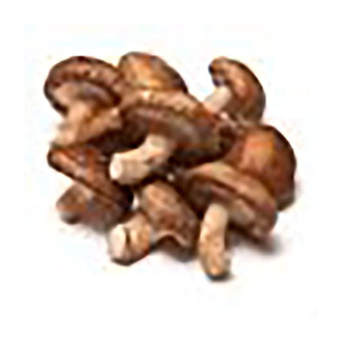 Shiitake GR ECO main product photo