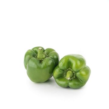 Pimiento verde California ECO