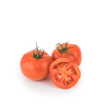 Tomate Ensalada ECO