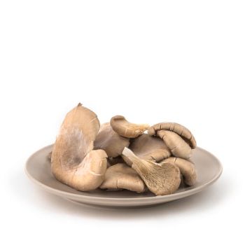 Girgola bandeja 200gr ECO