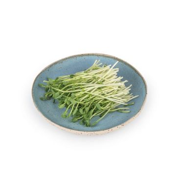 Guisante germinado Veritas 50g ECO