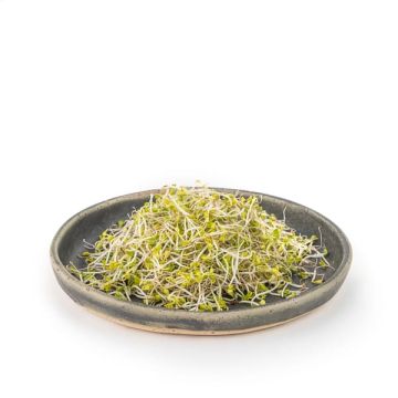 Col Kale germinada Veritas 50g ECO