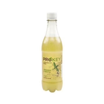 Bebida probiot menta/jengib Biosasun ECO