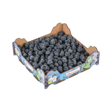 Arándanos 400gr ECO