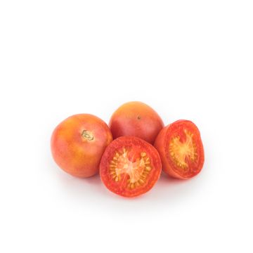 Tomate colgar ECO