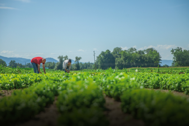 Somos tu partner ecológico